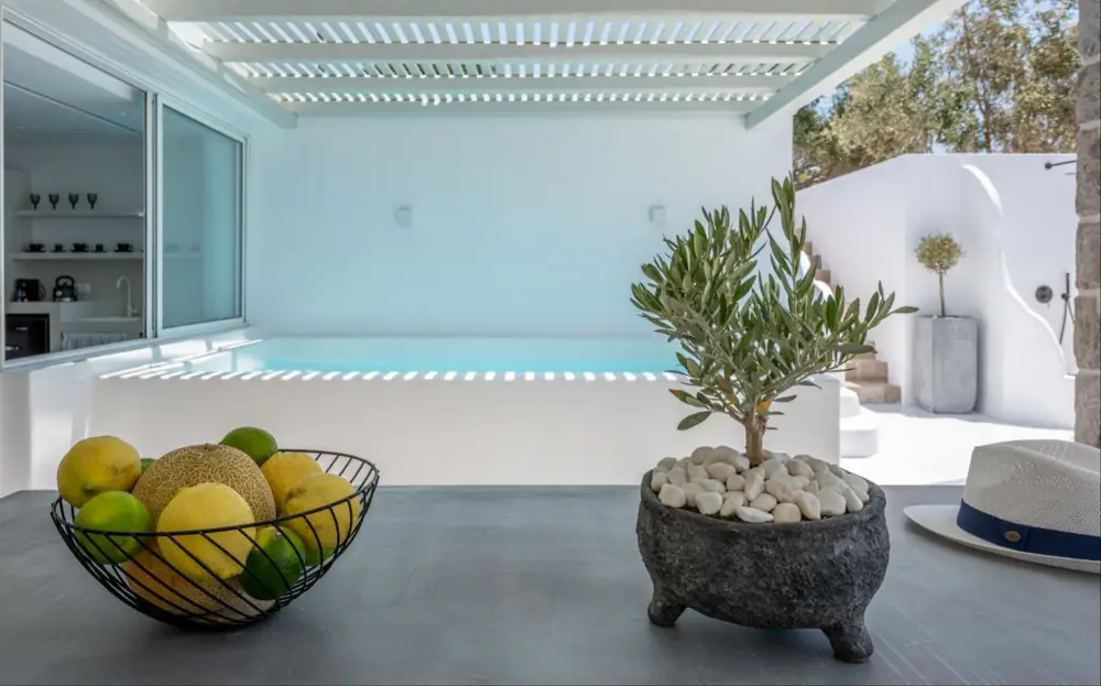 Fruit bowl and olive tree on the concrete table